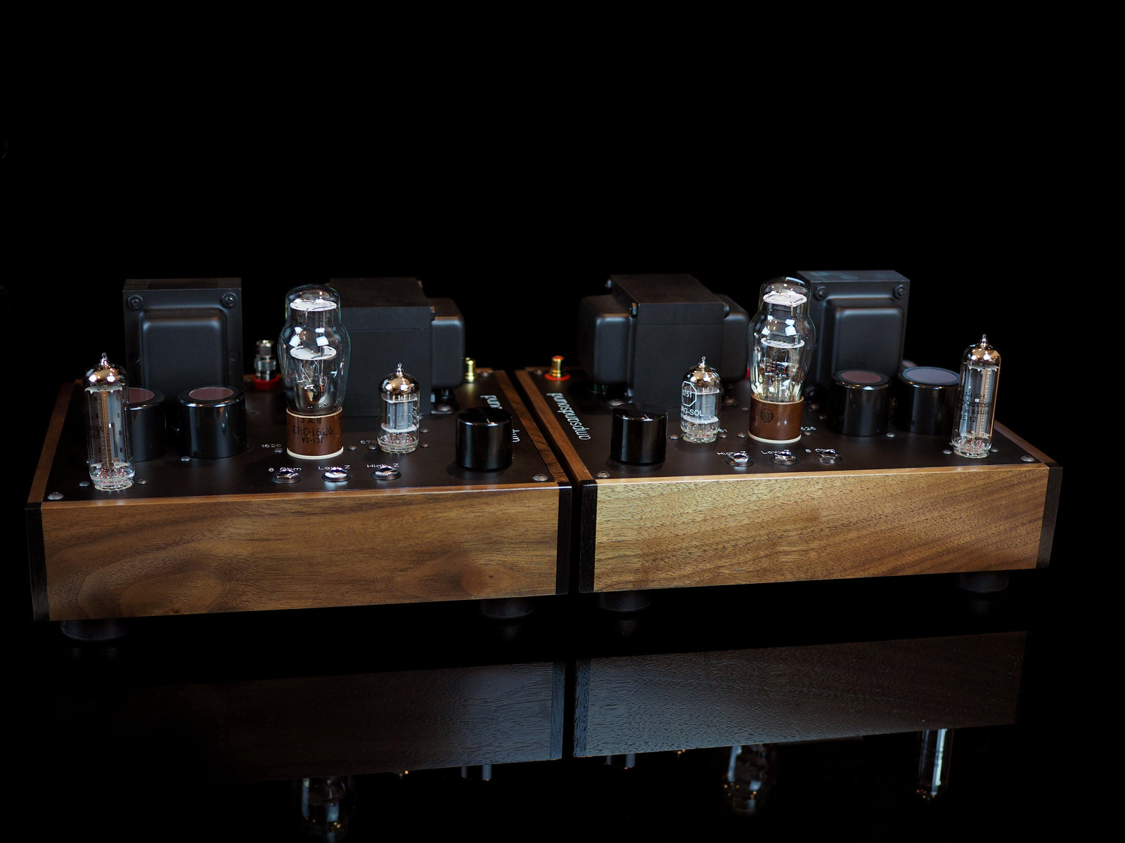 Customer review of Suolo Monos posted to Headfi - ampsandsound