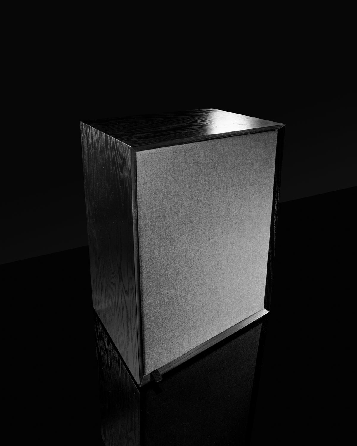 Sasquatch 2way Speaker - 18" Woofer