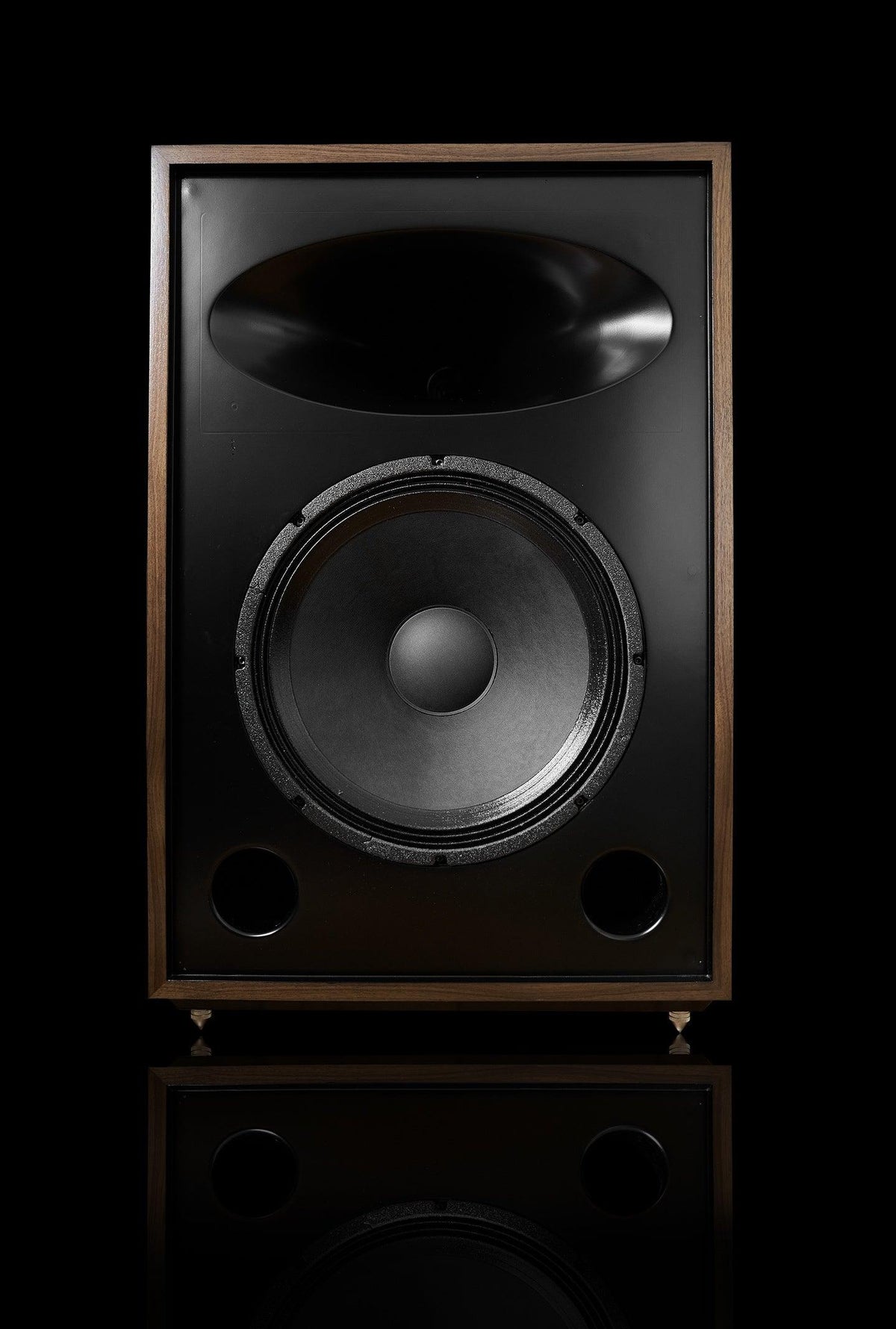 Seneca 2way Speaker - 15" woofer - ampsandsound