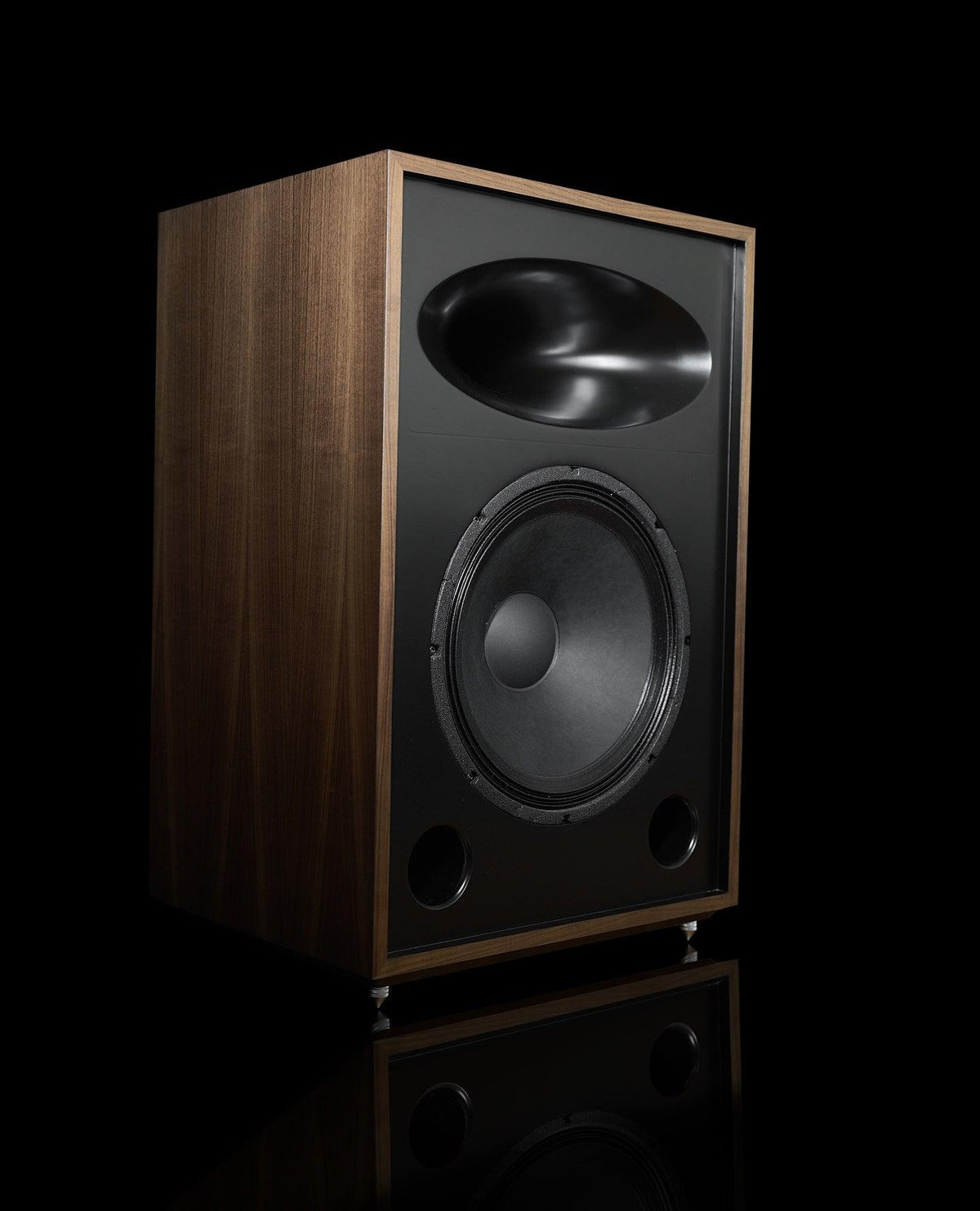 Seneca 2way Speaker - 15" woofer - ampsandsound