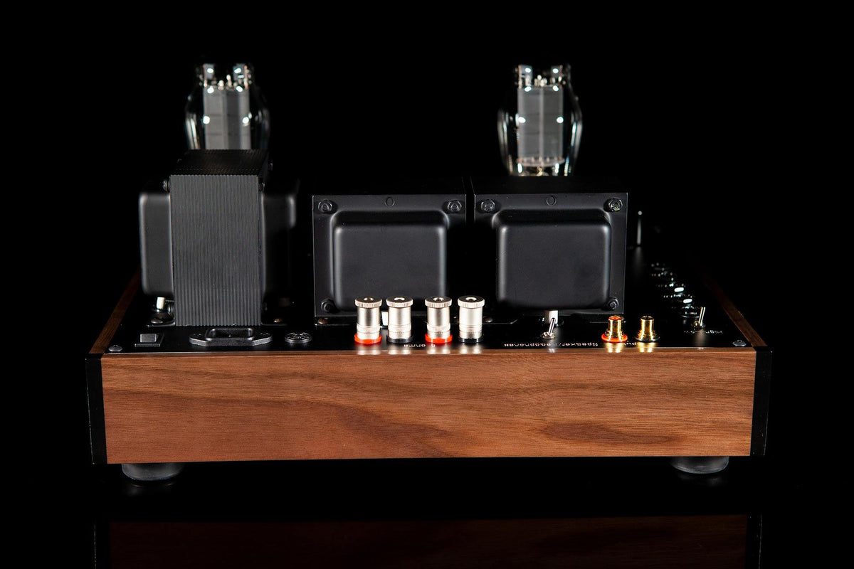 Agartha Rev 2 - ampsandsound