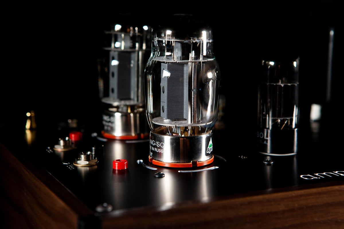 Casablanca Monos - ampsandsound