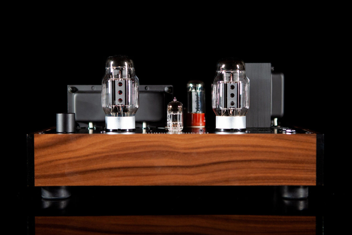 Mogwai SE Rev 2 - ampsandsound