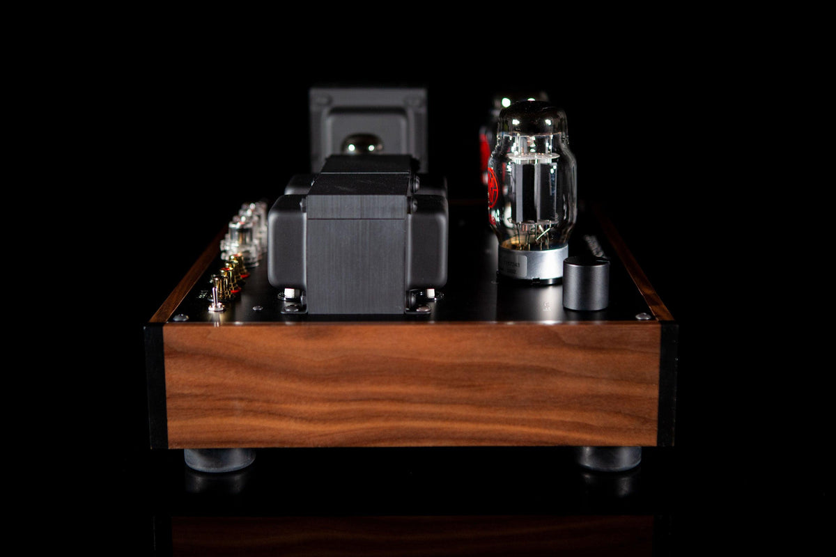 Mogwai SE Rev 2 - ampsandsound