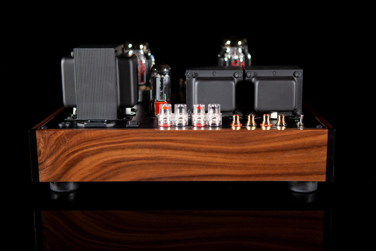 Mogwai SE Rev 2 - ampsandsound