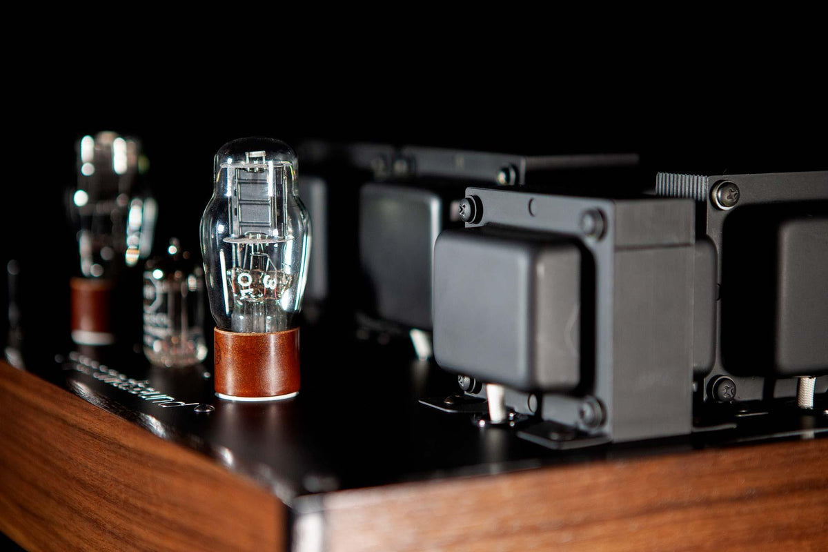 Ovation Rev 2 - ampsandsound